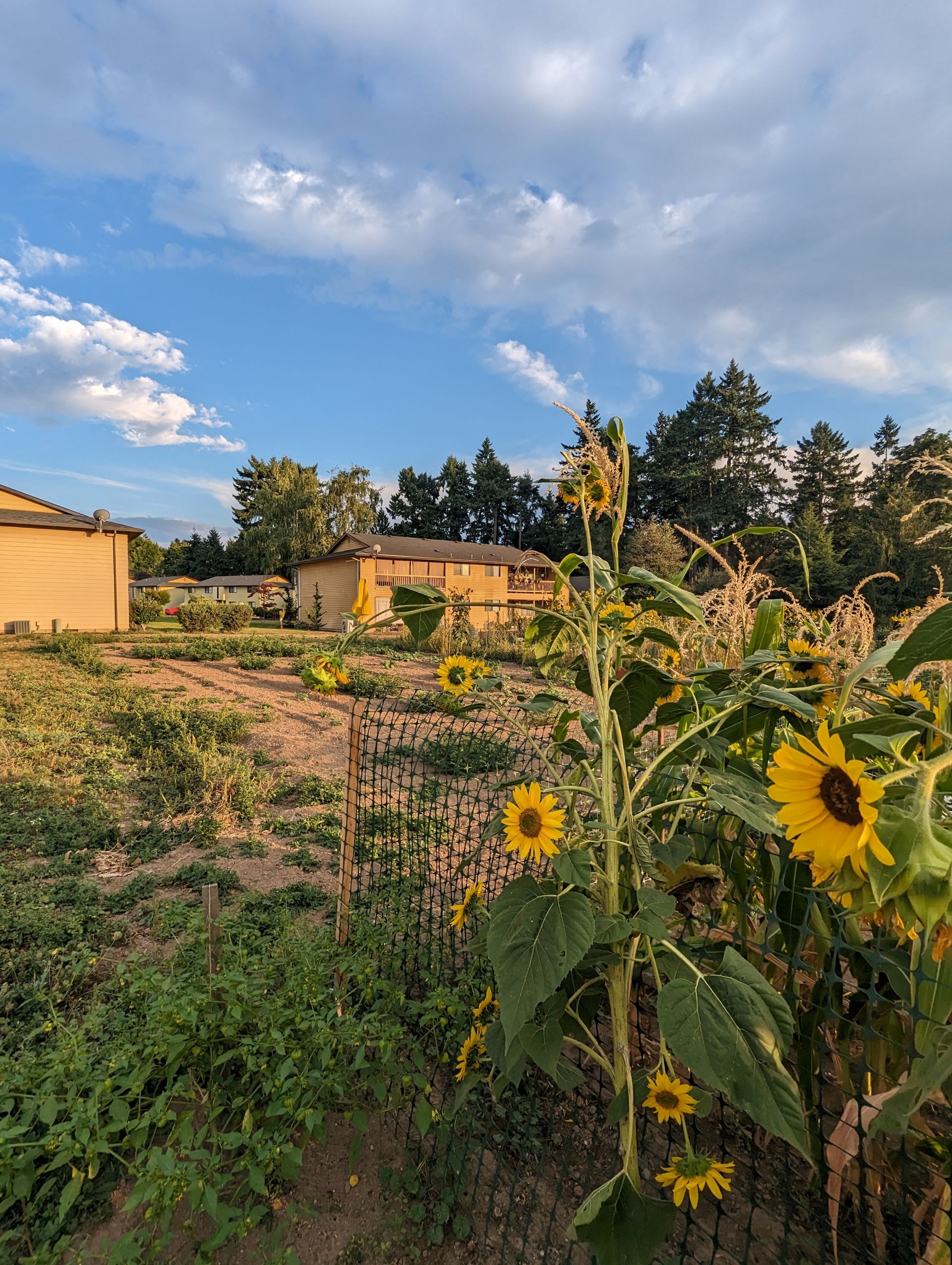 The community garden is right next to the property with lots of space to grow a few summer favorites. 